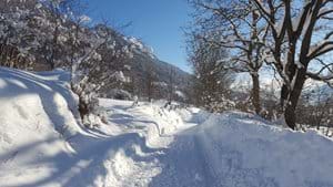 One of the many walks in the area January 2021