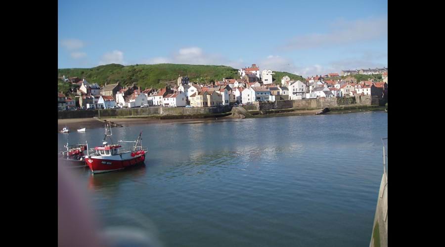 The tranquil harbour