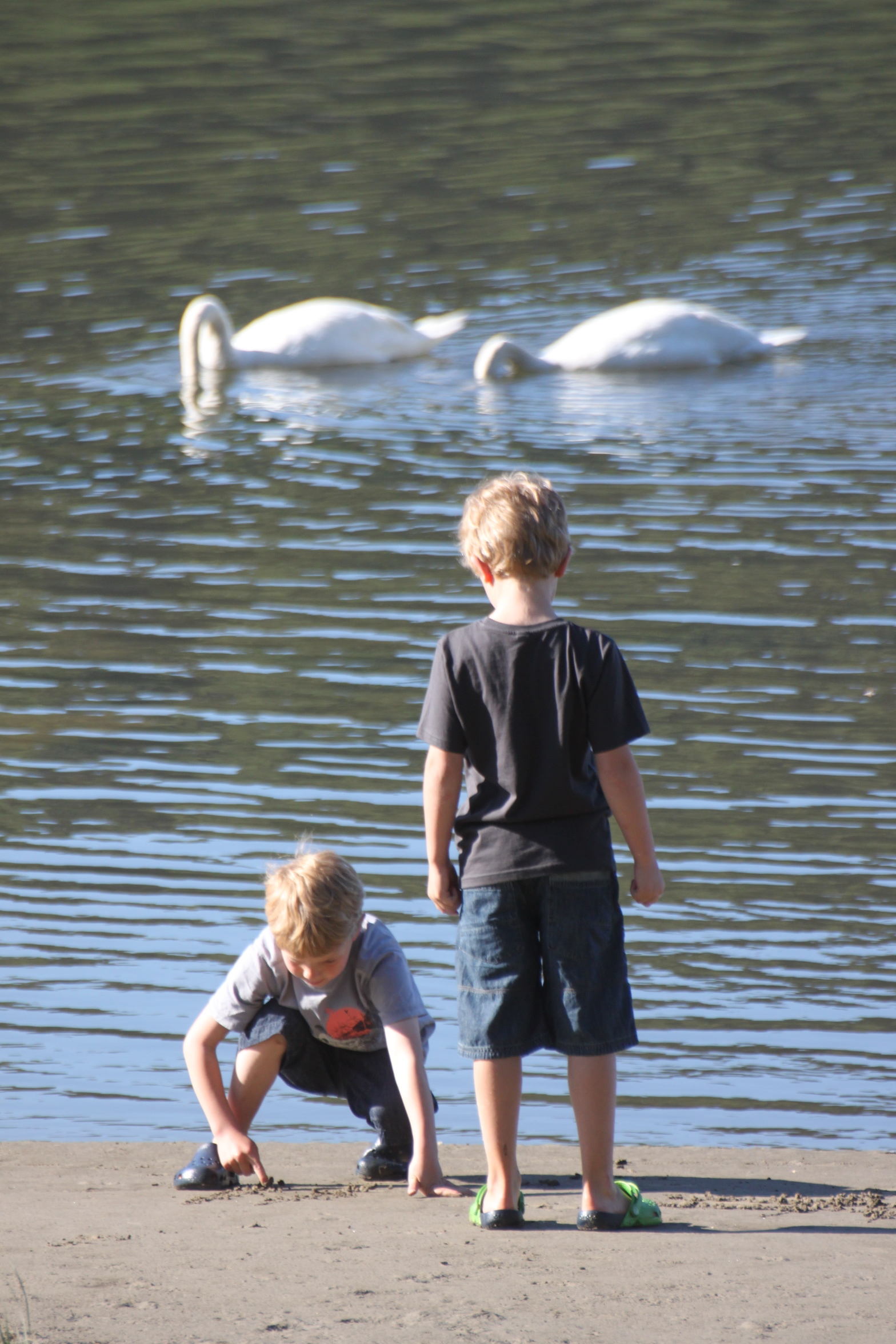 Playing by the water