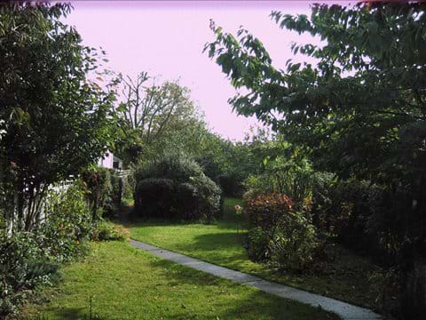 Enclosed Mersea garden