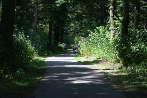 The bike path at the entrance to the Drents-Friese Wold