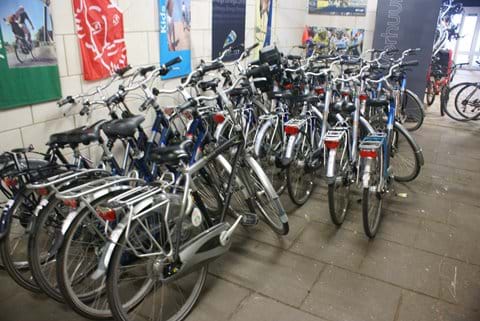 Rental bikes stand ready for you....