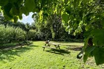 Cocketts Garden is great place to take a mug of tea - or a picnic.