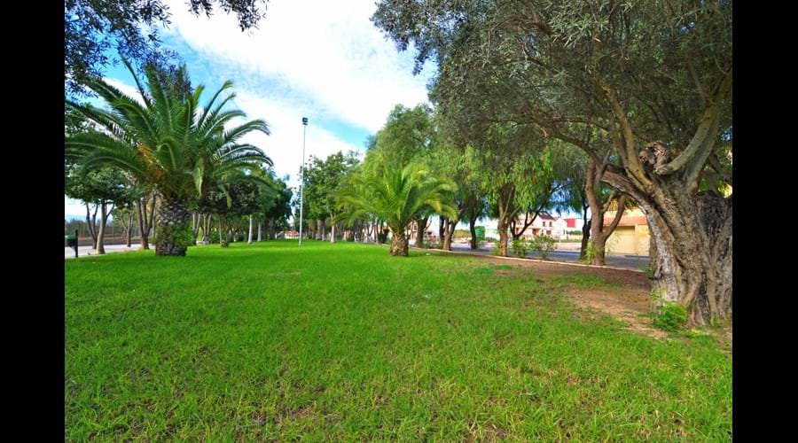 Beautiful amenity area directly adjacent to us. Perfect spot to relax amongst the palm trees