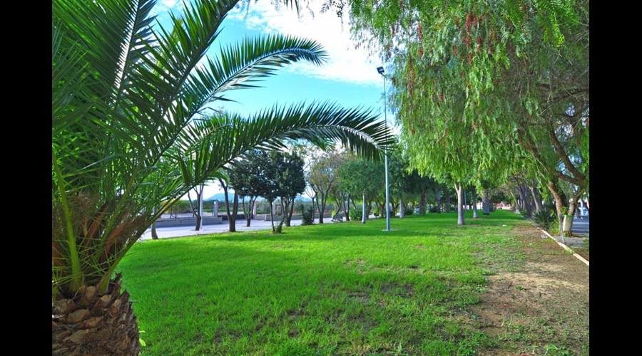 Beautiful amenity area directly adjacent to us. Perfect spot to relax amongst the palm trees