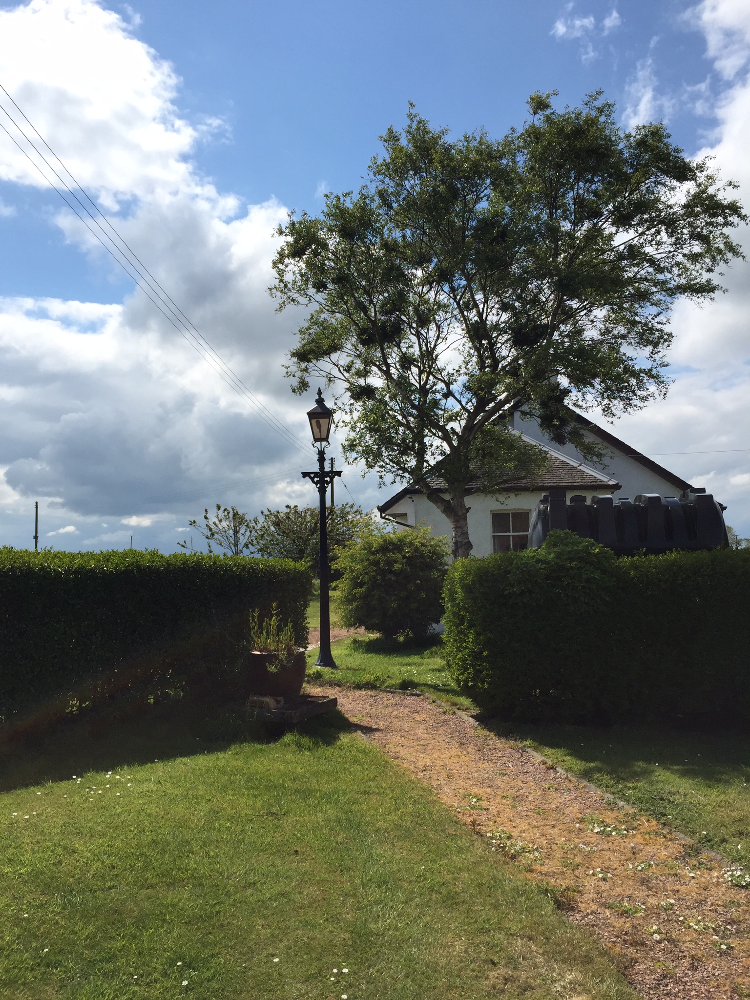 St Andrews 3 Bedroom Luxury Self Catering Holiday Cottage In