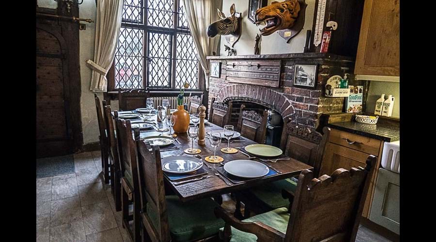 Kitchen / dining room with hungry tiger