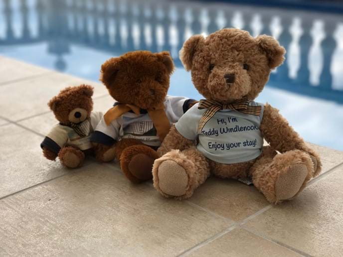 Three generations of Casa Windlenook teddy bears sitting by the pool