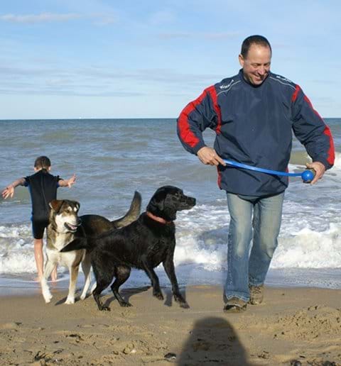 Many dogs love a day at the beach and all Normandy beaches allow dogs out of peak summer season.