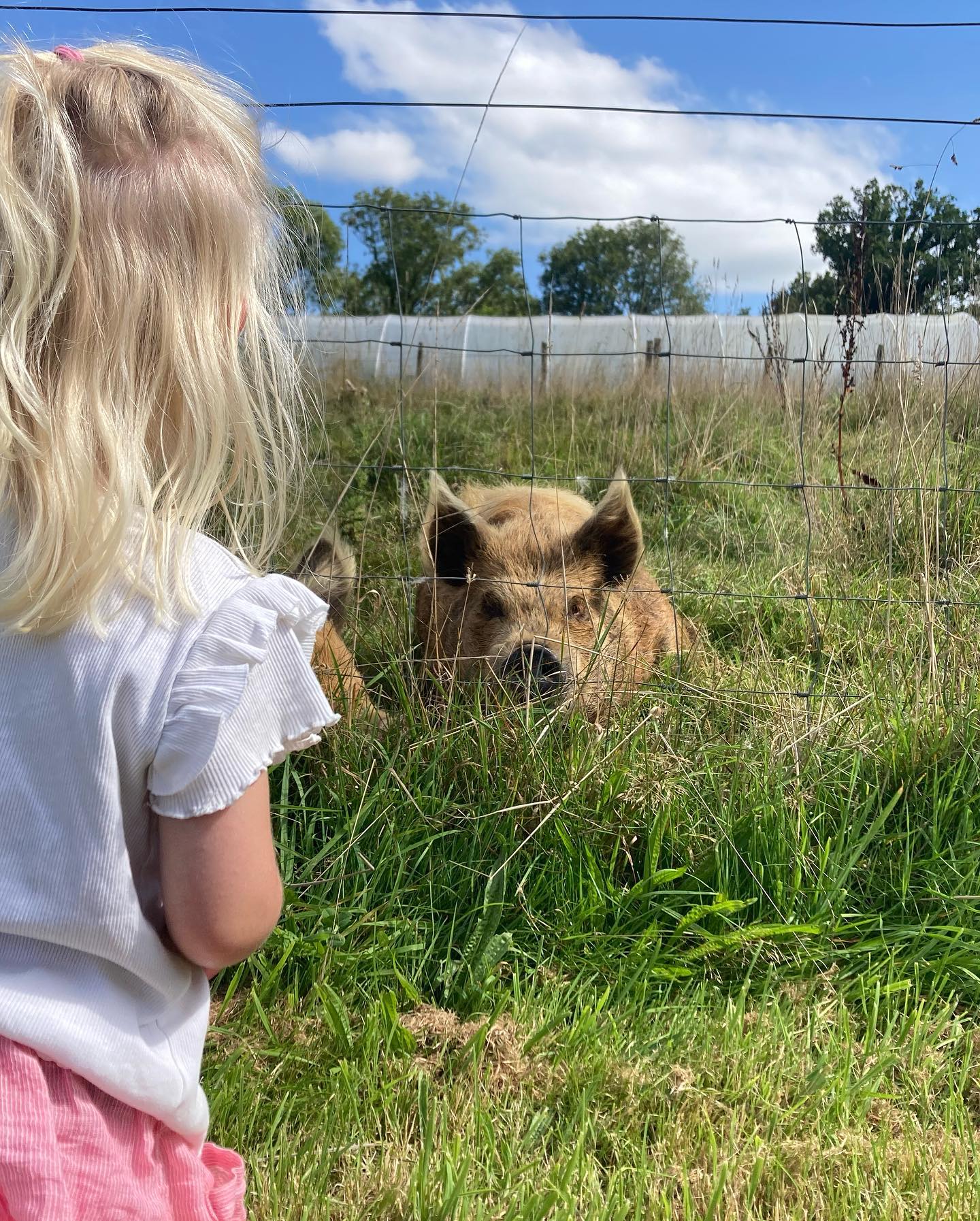 Meeting Astra and Zeneca