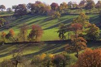 Delightful autumn colours in Lénault