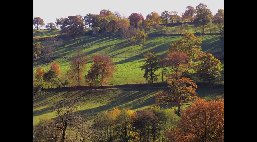 Delightful autumn colours in Lénault