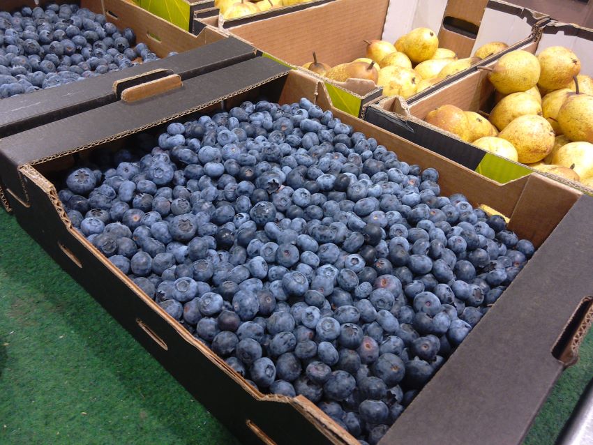 Loose blueberries in a supermarket in Normandy, France