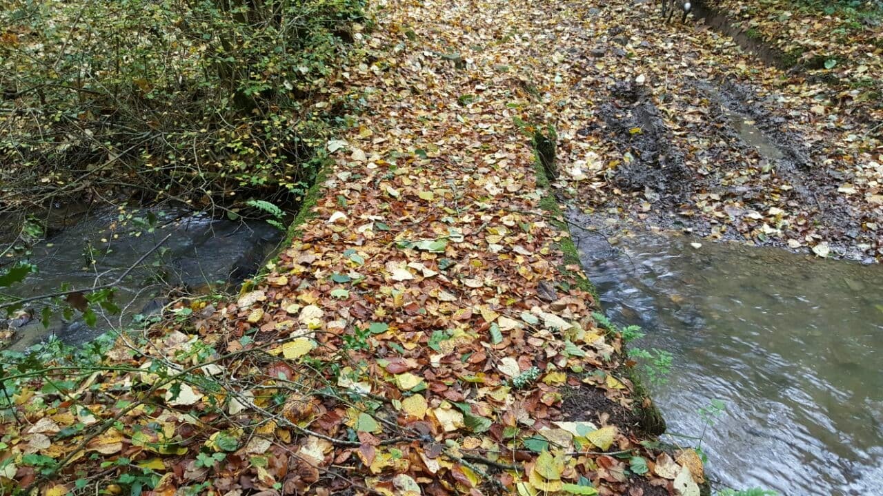 Bridge over a stream with autumn leaves, Normandy, France