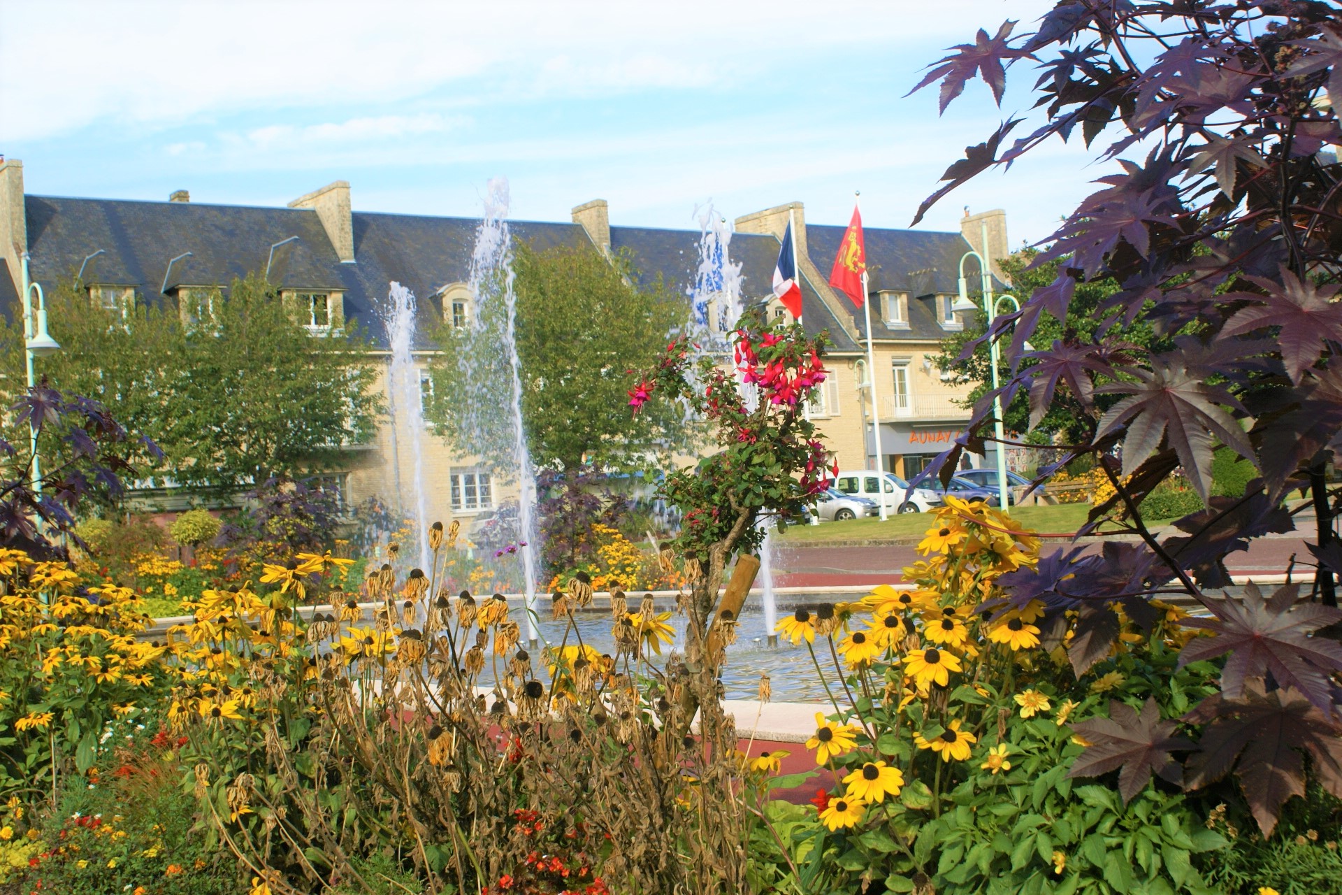 Autumn flowers in Aunay sur Odon,Normandy, France