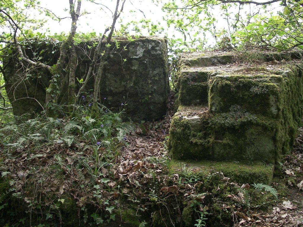 Druid's Stone, Perigny, Calvados, Normandy
