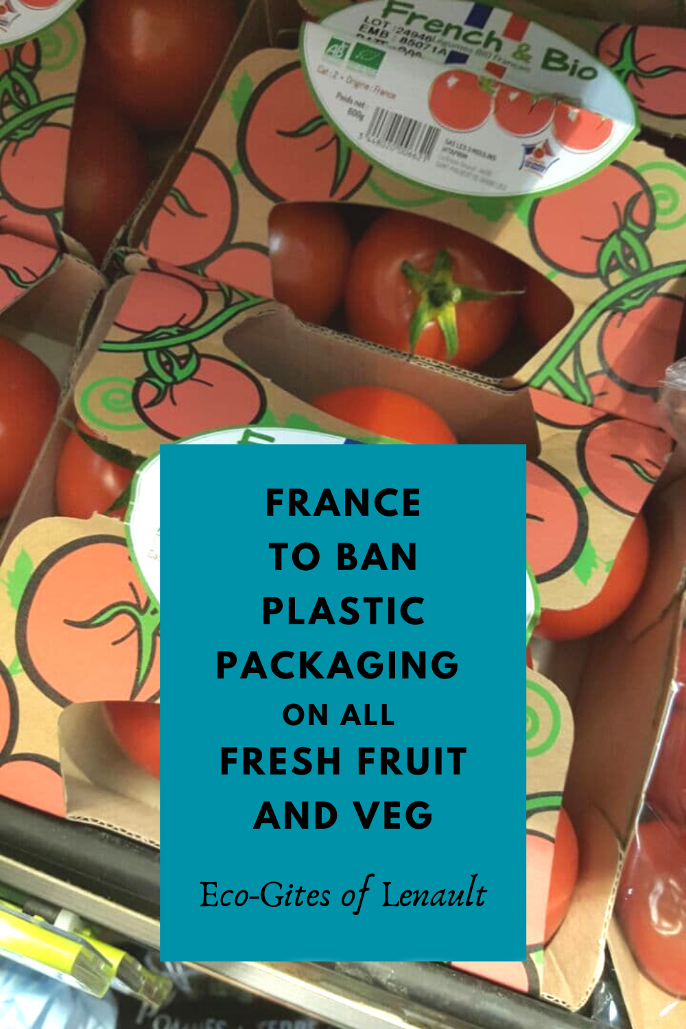 France to ban plastic packaging on fresh fruit and veg