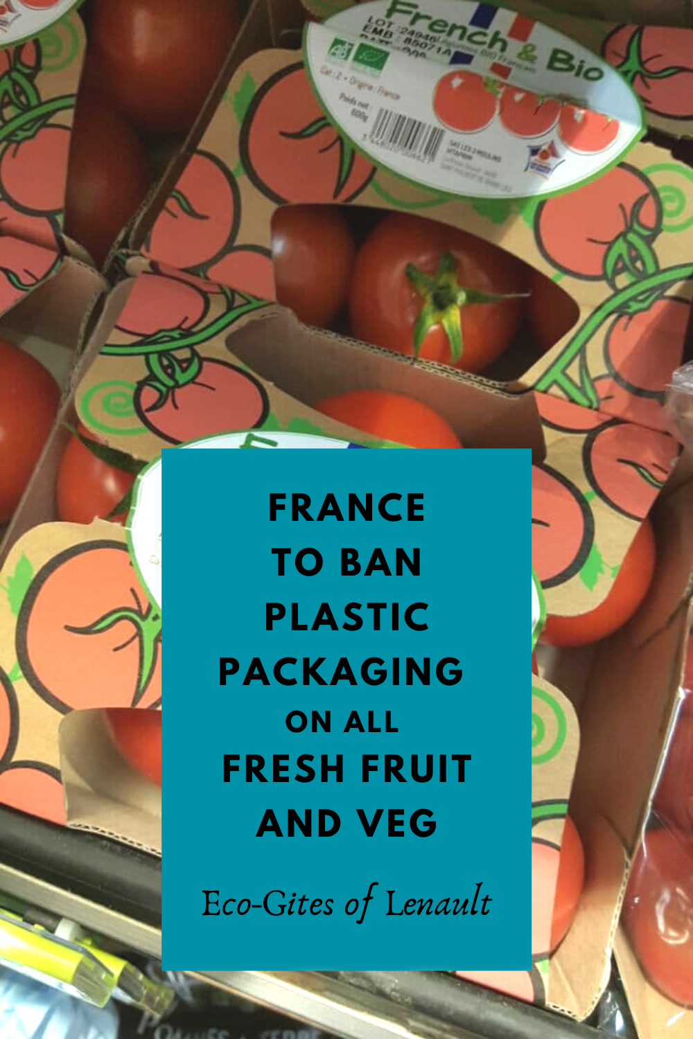 Completely Plastic Free - Veg In A Box