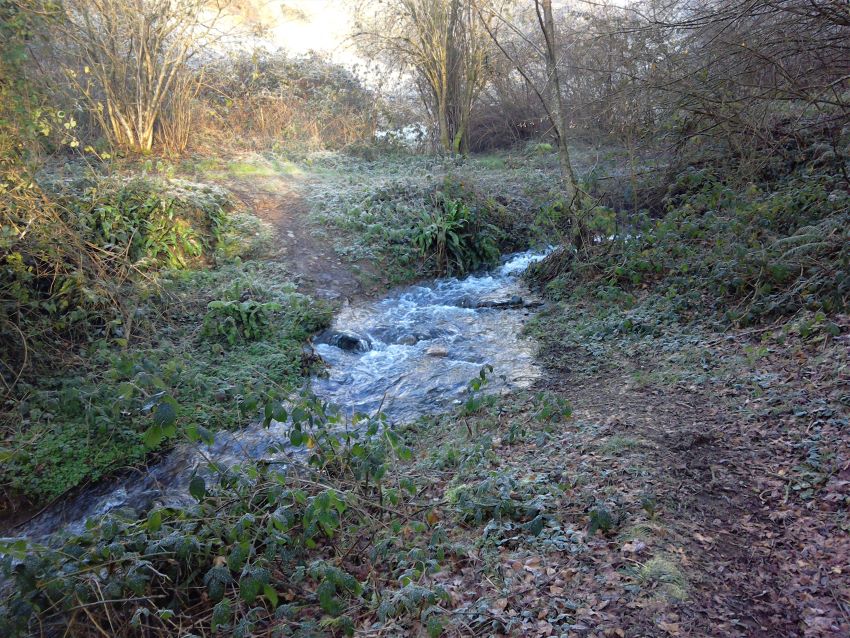 The stream near Eco-Gites of Lenault, Normandy, France