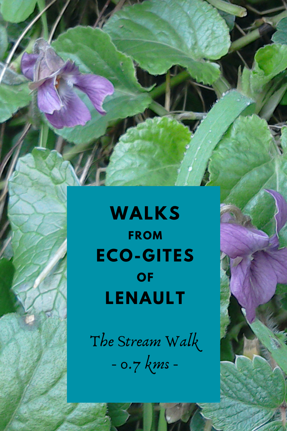 Route for the Stream Walk, Eco-Gites of Lenault, Normandy, France