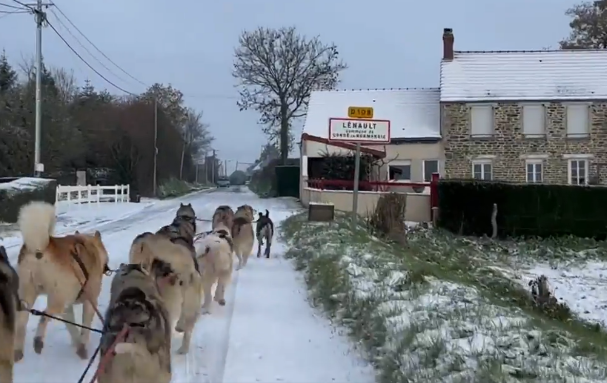 Will to Go Huskies in Lénault, Normandy