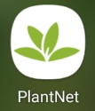 Plantnet app logo