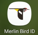 Merlin Bird ID logo