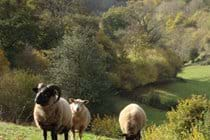 Eco-Gites of Lenault - a welcoming gite that sleeps 5 in the Calvados region of Normandy