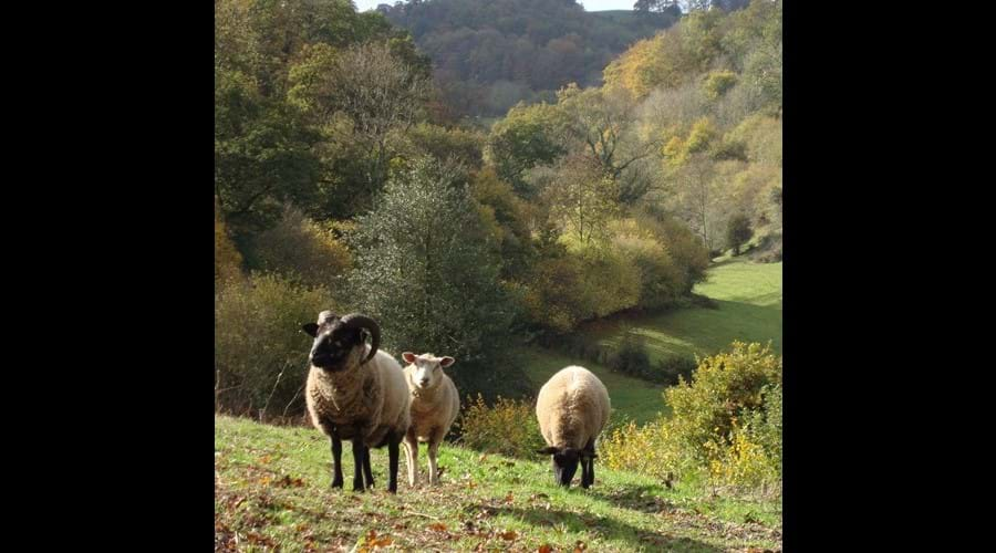 Eco-Gites of Lenault - a welcoming gite that sleeps 5 in the Calvados region of Normandy