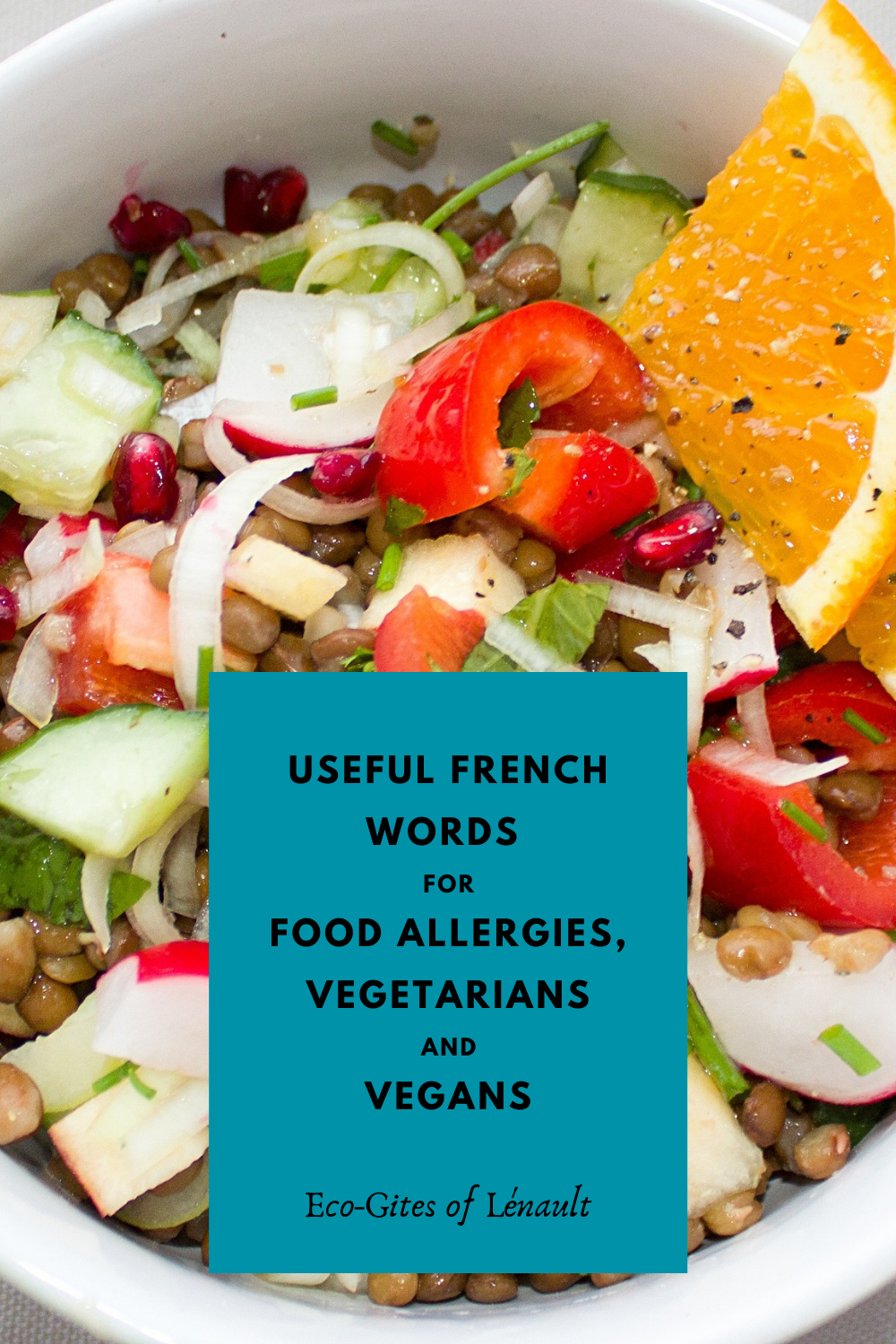 French words relating to food allergies and vegetarian/veganism