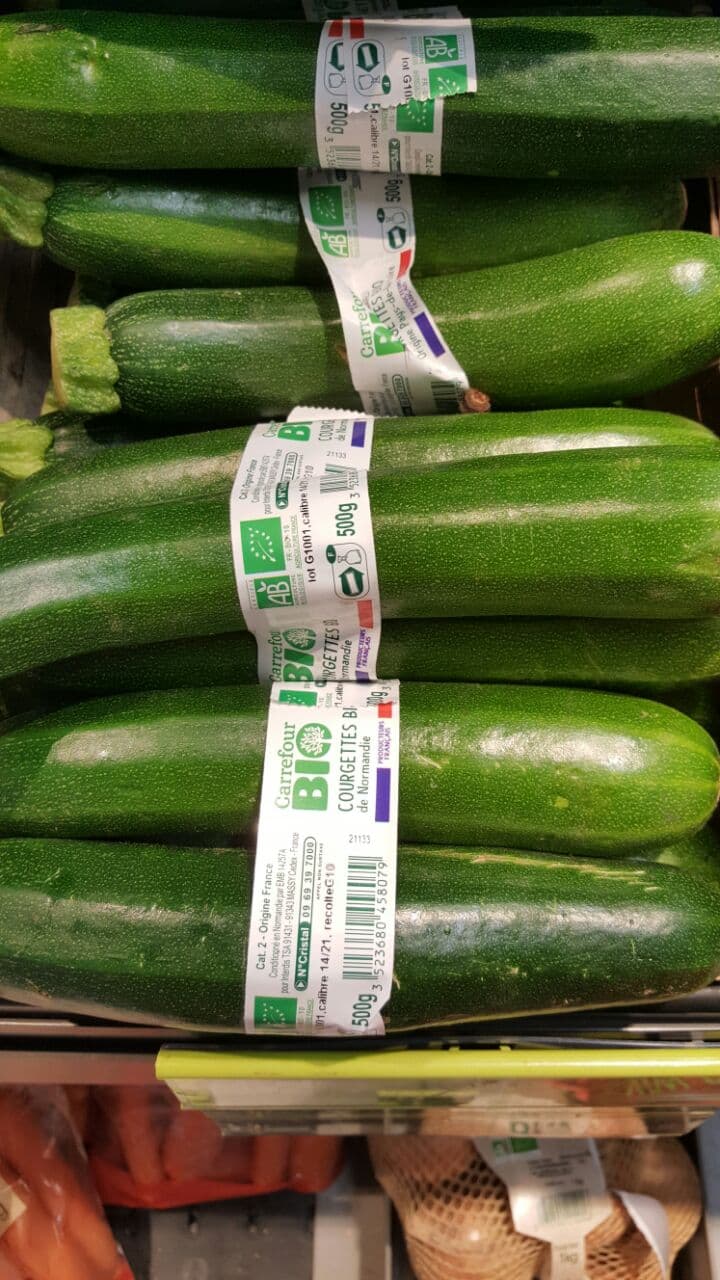 Organic courgettes, Vassy, Normandy