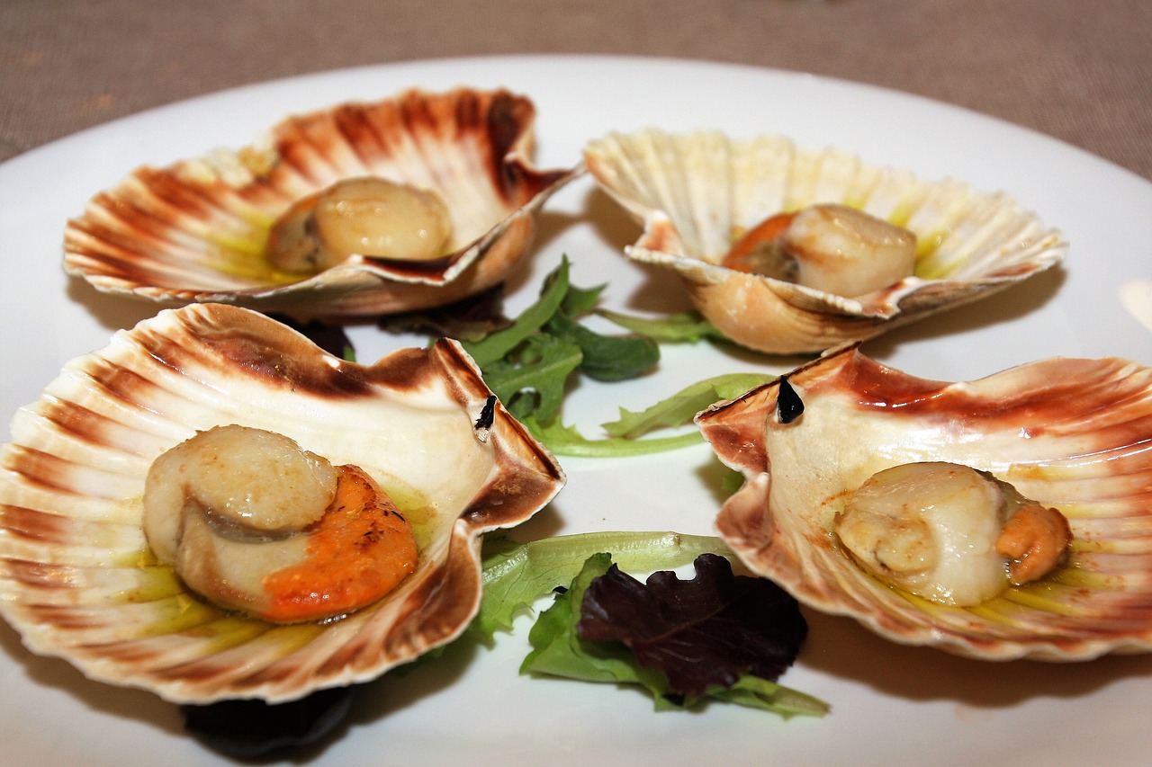 Scallops