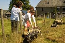 Eco-Gites of Lenault - a welcoming gite that sleeps 5 in the Calvados region of Normandy. Very family friendly