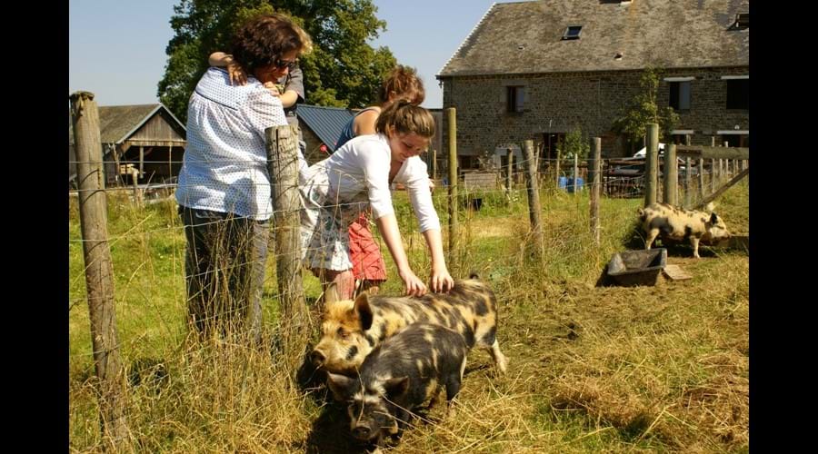 Eco-Gites of Lenault - a welcoming gite that sleeps 5 in the Calvados region of Normandy. Very family friendly