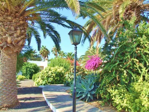 Exotic Gardens and Palm Trees
