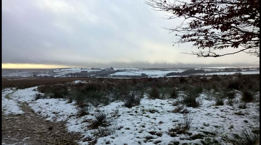 Snow on the Moor