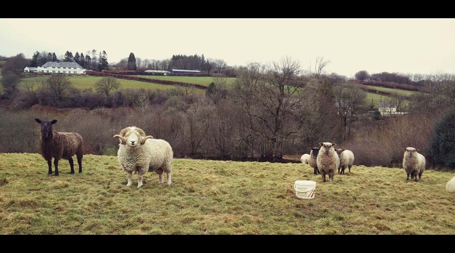 Some local residents