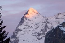 The magnificent Eiger.