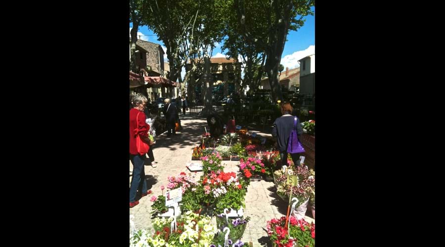 Tues flower market