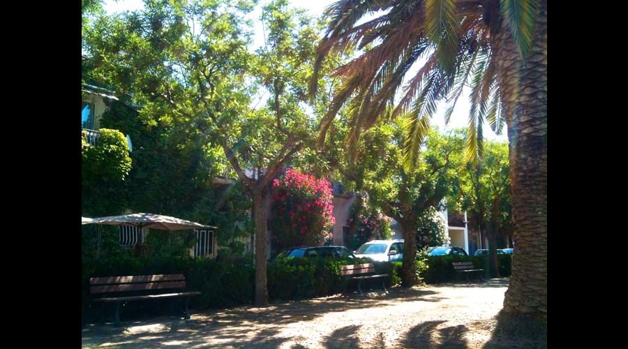 Shady park by the port