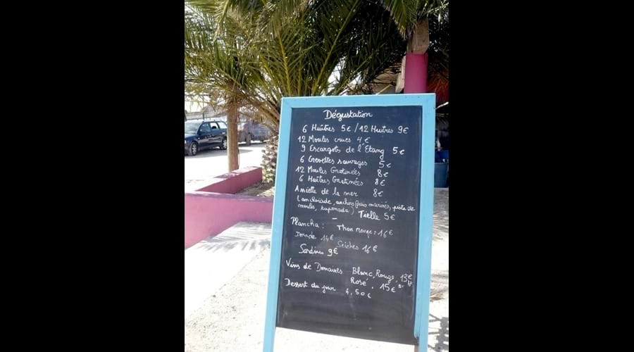 Fish for lunch?