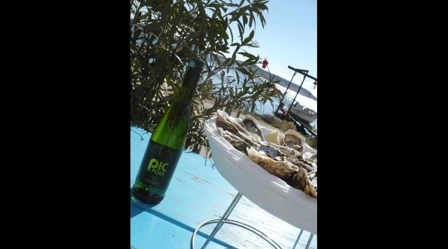 Oysters and Picpoul