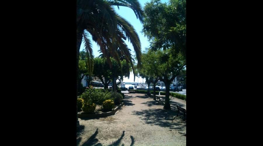 Walk through palms to the port