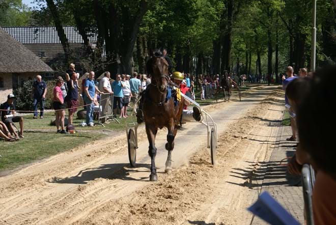 Paardenrace Diever