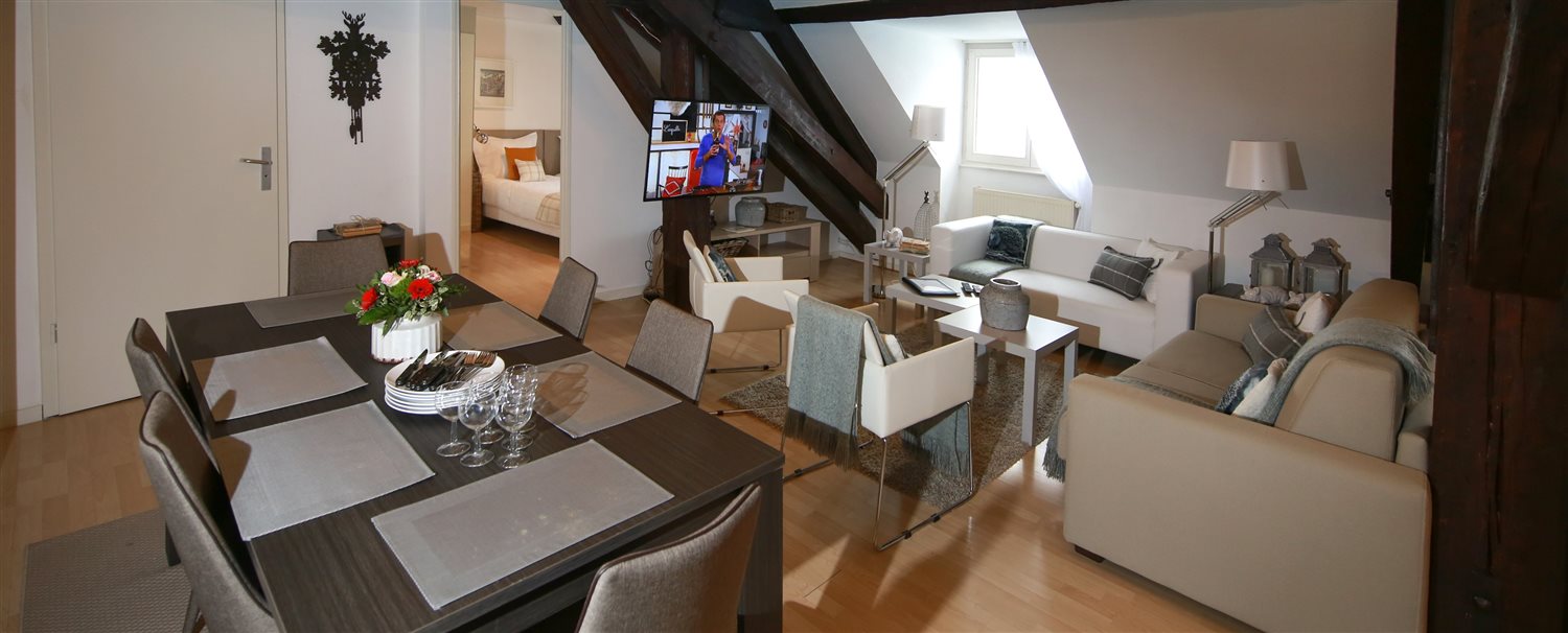 Luxury Holiday Apartments In Colmar Alsace France