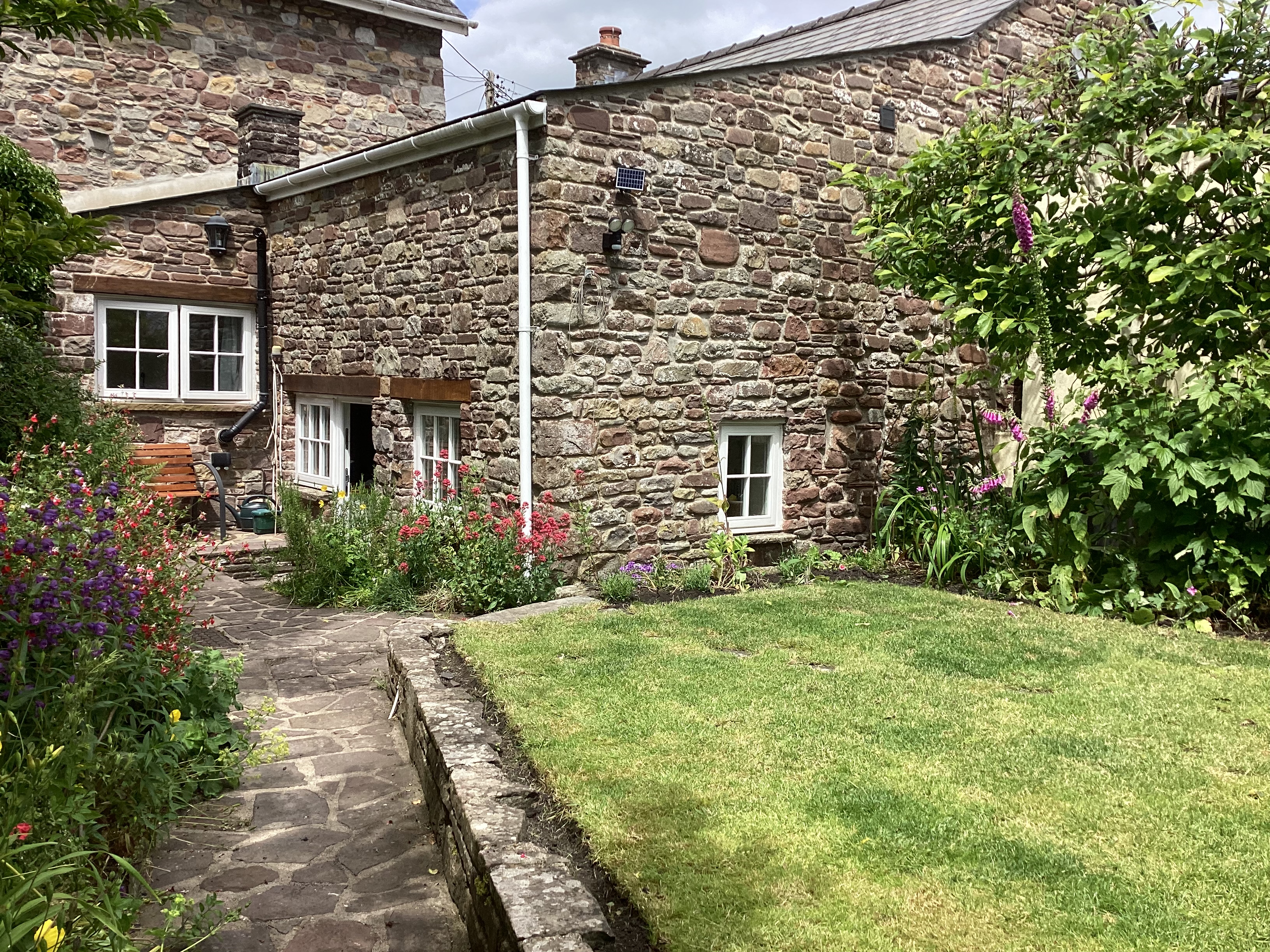 Sunshine in the garden