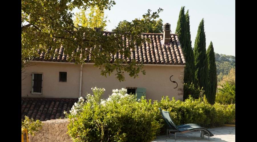 The back of the house