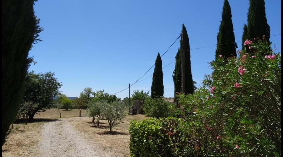Looking downthe drive towards the road