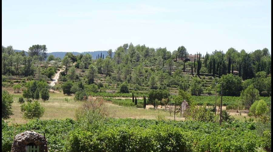 The view from the playing field