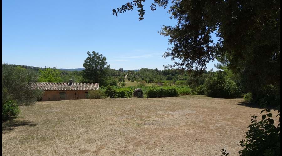 The playing field